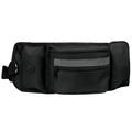 Pet Training Waist Bag for Outdoor Dog Walking
