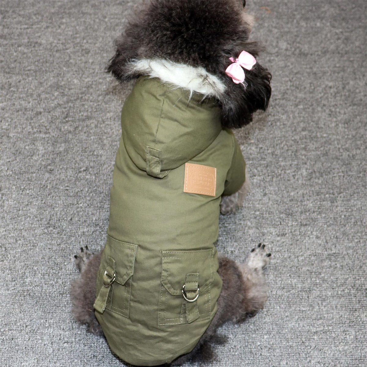 Thickened Winter Dog Clothes for Small Breeds Sporty Style Pet Apparel